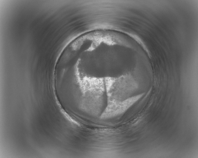 X0000063530903200602102014