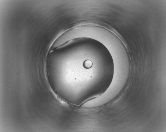 X0000063530909200602102014