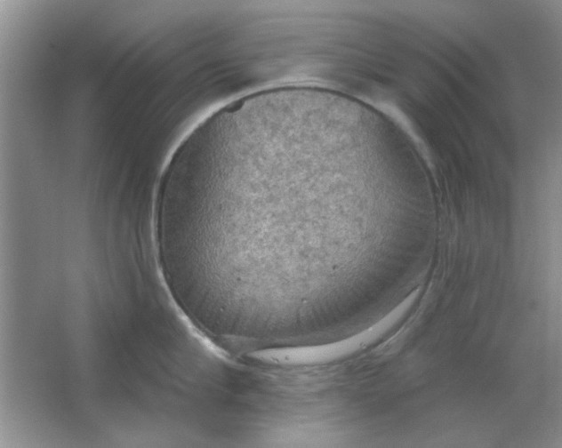 X0000063530910200602102014