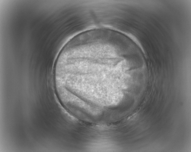 X0000063530911200602102014