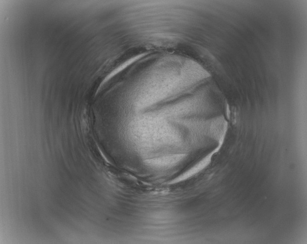 X0000063530915200602102013