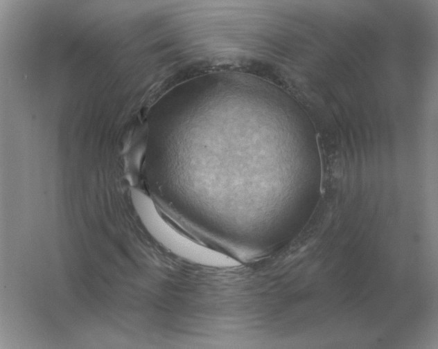 X0000063530916200602102013