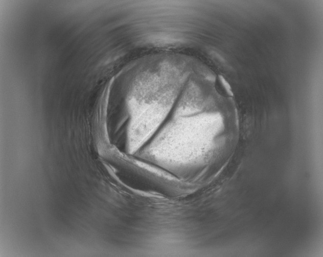 X0000063530917200602102013