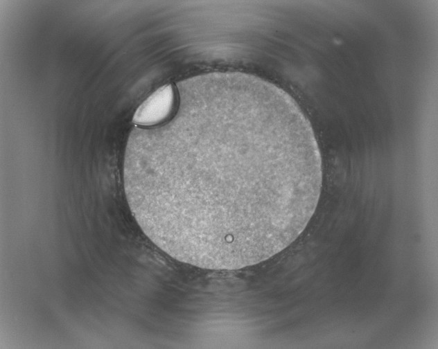 X0000063530918200602102013