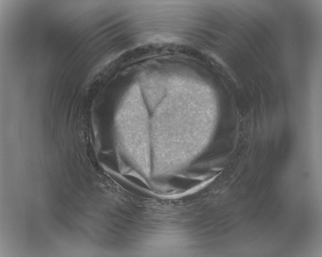 X0000063530919200602102013