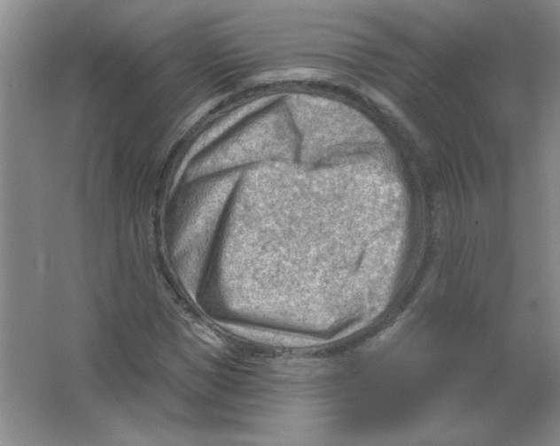 X0000063530921200602102013