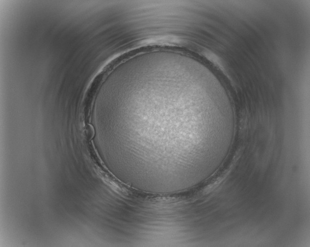 X0000063530923200602102013