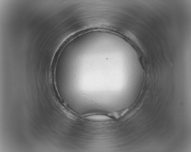 X0000063530924200602102013