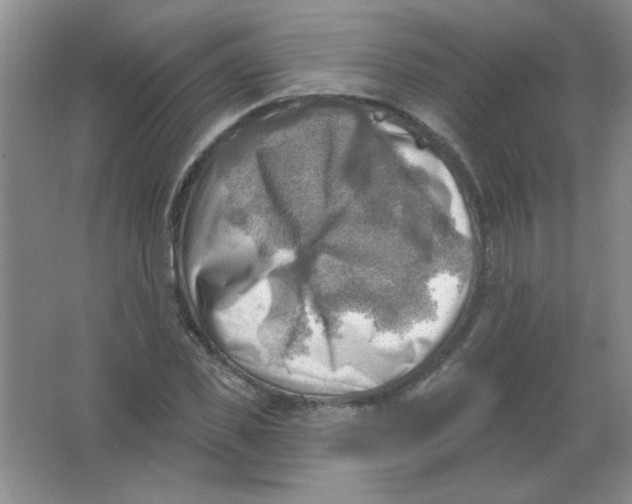 X0000063530925200602102013