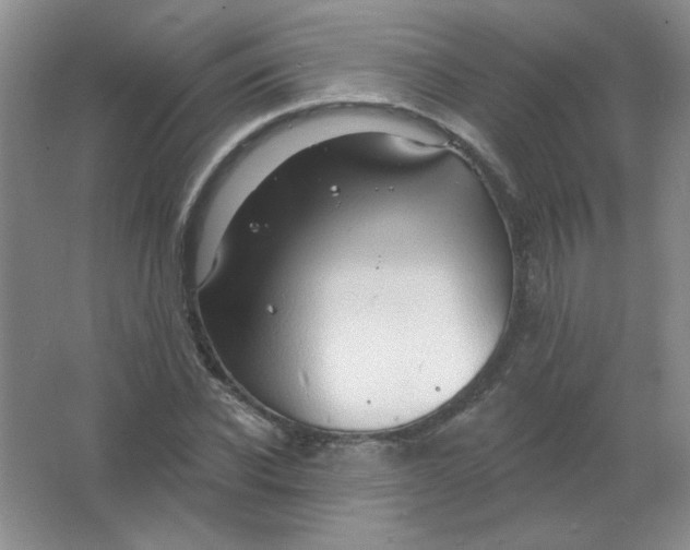 X0000063530926200602102013