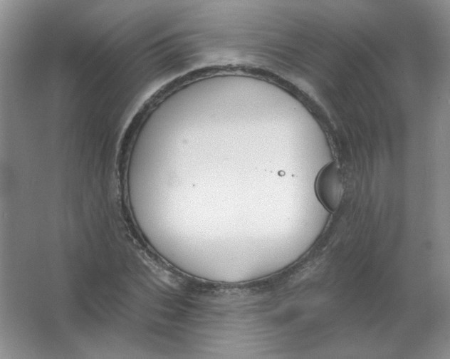 X0000063530927200602102013