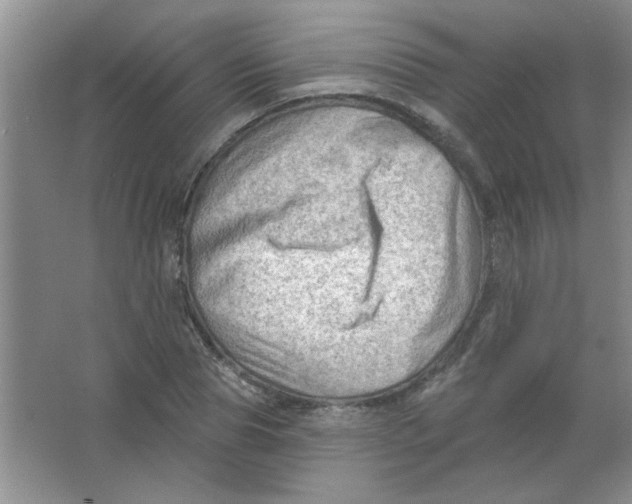 X0000063530929200602102013