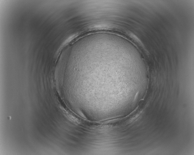 X0000063530930200602102013