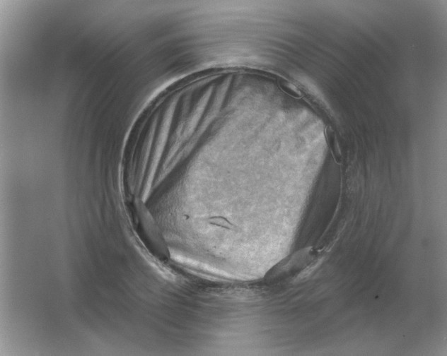 X0000063530932200602102014