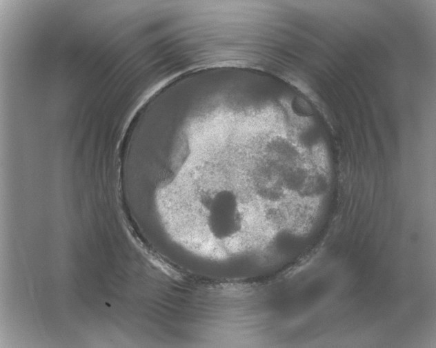 X0000063530933200602102014