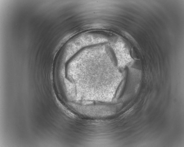 X0000063530938200602102014