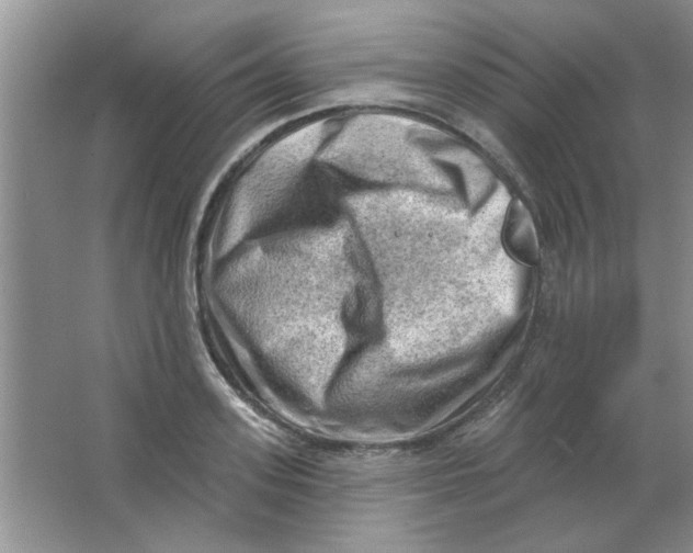 X0000063530939200602102014