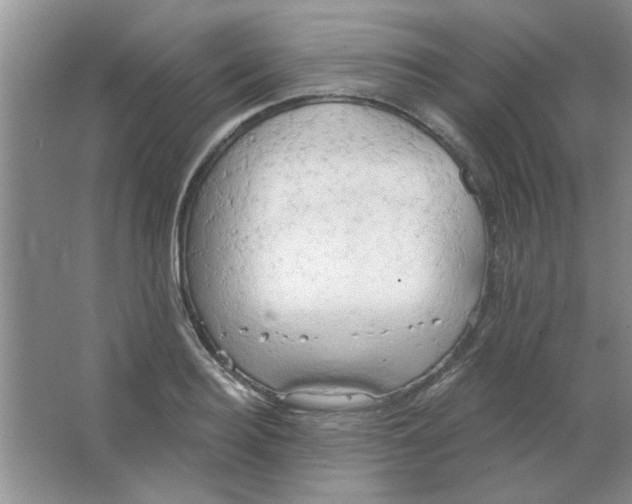 X0000063530940200602102014