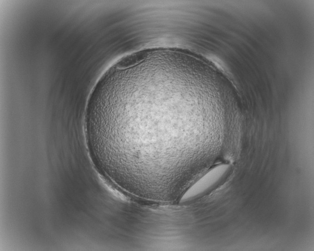 X0000063530942200602102014