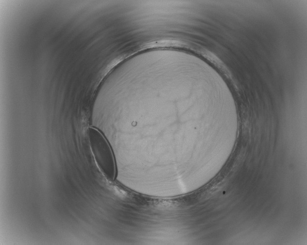 X0000063530945200602102014