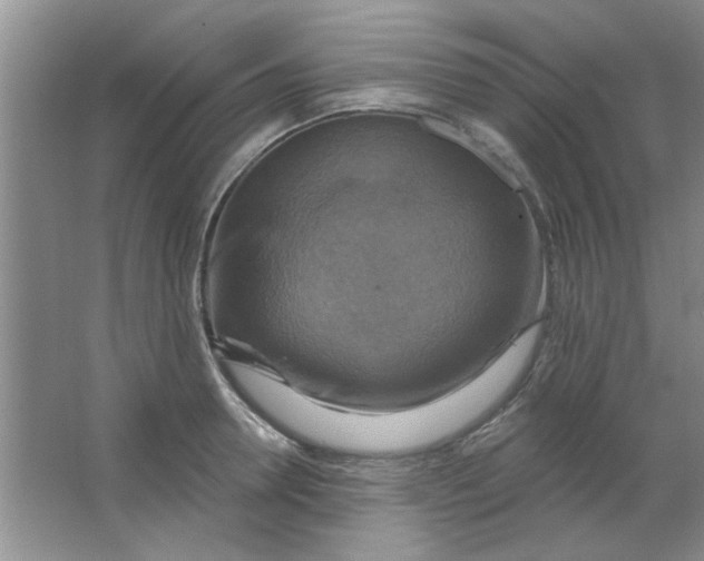 X0000063530946200602102014