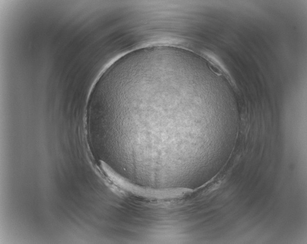 X0000063530948200602102014