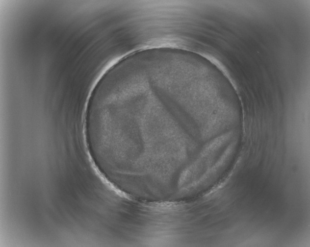 X0000063530949200602102014