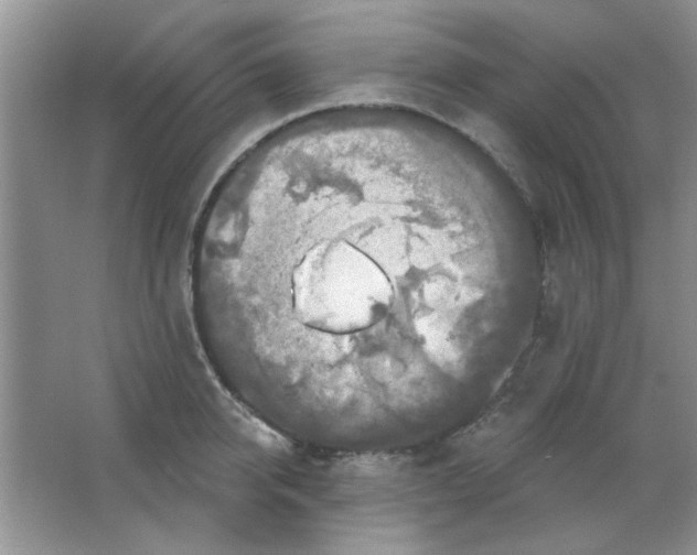 X0000063530950200602102014