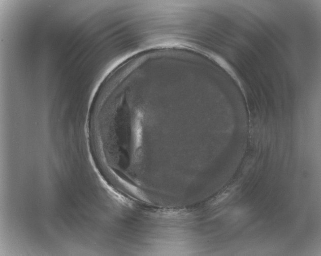 X0000063530951200602102014