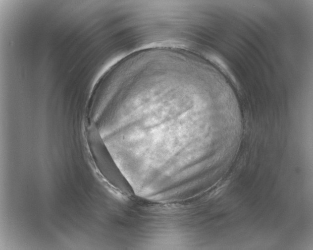 X0000063530952200602102014