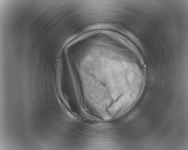 X0000063530953200602102014