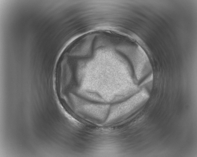 X0000063530955200602102014