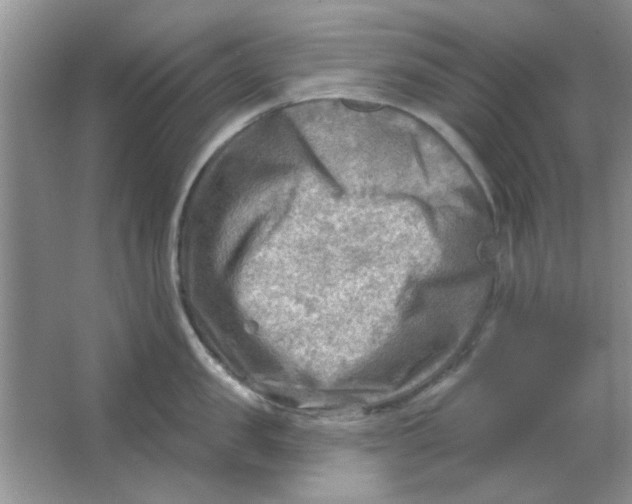 X0000063530957200602102014