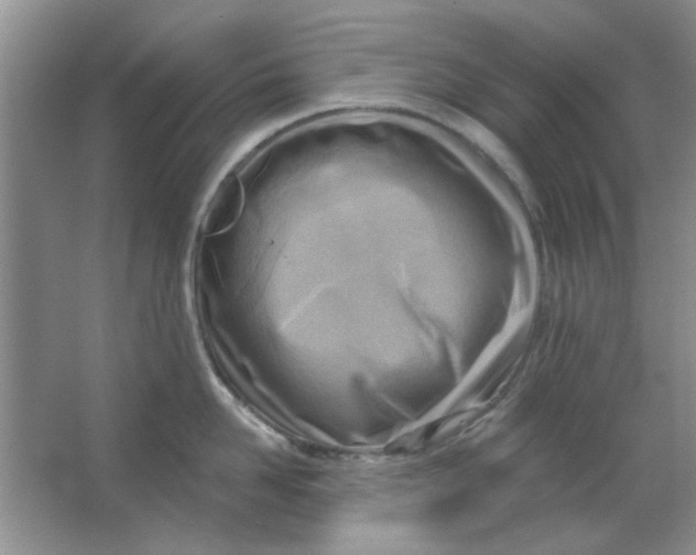 X0000063530958200602102014