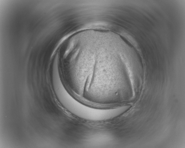 X0000063530960200602102014