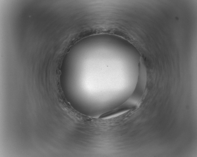 X0000063530961200602102013