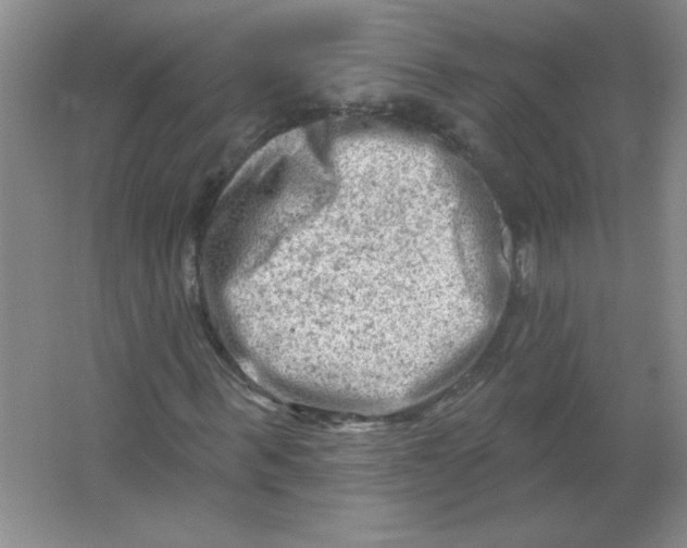 X0000063530963200602102013