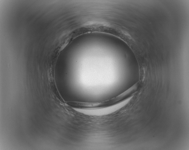 X0000063530965200602102013