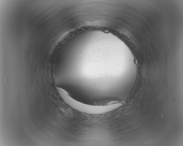 X0000063530968200602102013