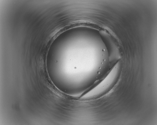 X0000063530969200602102013