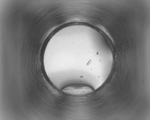 X0000063530972200602102013