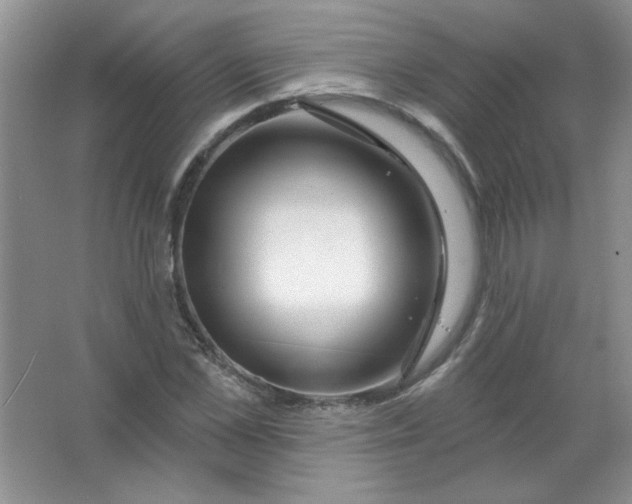 X0000063530973200602102013