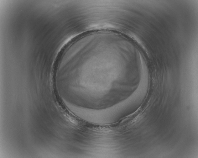 X0000063530975200602102013