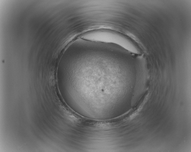 X0000063530977200602102013