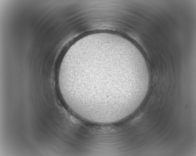 X0000063530979200602102013