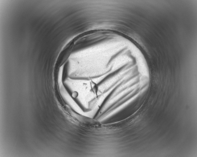 X0000063530980200602102013