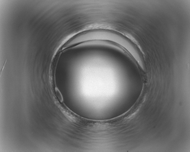 X0000063530981200602102013