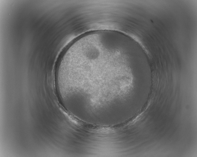 X0000063530982200602102013