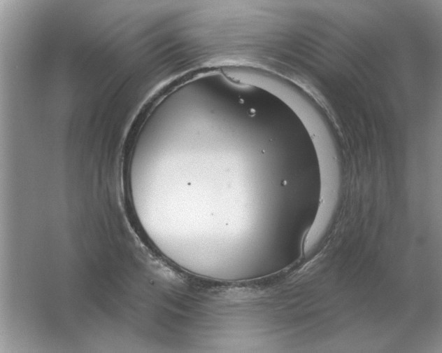 X0000063530984200602102013