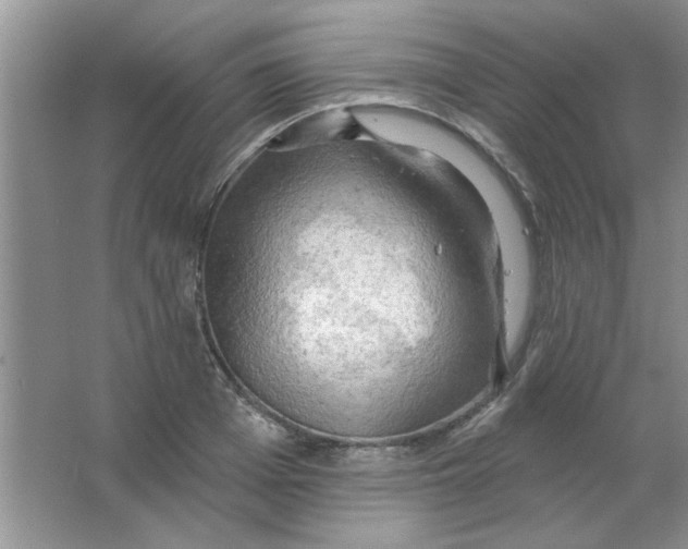 X0000063530985200602102013